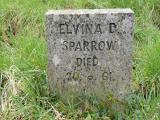 image number Sparrow Elvina D  141